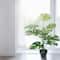 26" Premade Potted Monstera Plant by Ashland®